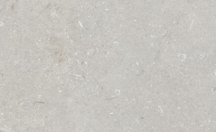 Gres na podłogę 60x120 cm jasny szary mat A4H1093 Shellstone Bianco