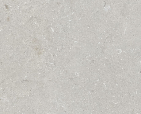Gres na podłogę 60x120 cm jasny szary mat A4H1093 Shellstone Bianco