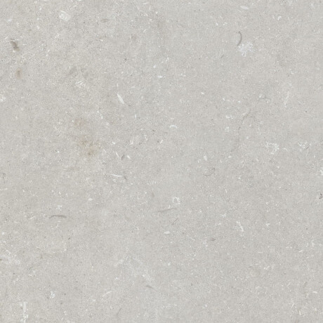 Gres na podłogę 60x120 cm jasny szary mat A4H1093 Shellstone Bianco #1