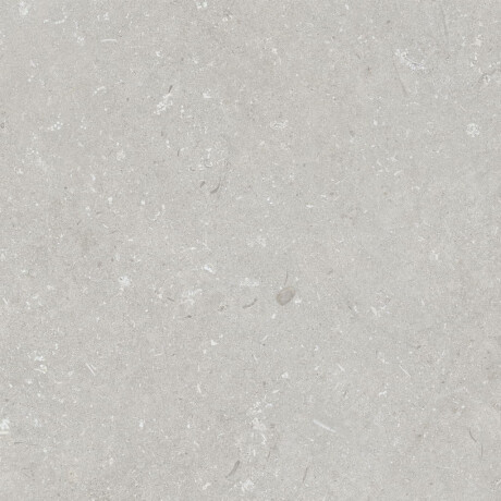 Gres na podłogę 60x120 cm jasny szary mat A4H1093 Shellstone Bianco #2