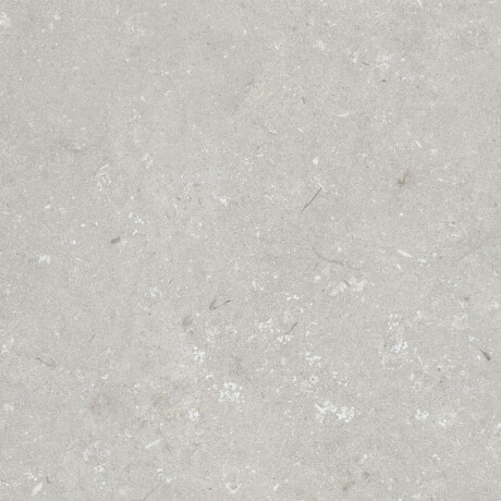 Gres na podłogę 60x120 cm jasny szary mat A4H1093 Shellstone Bianco #3