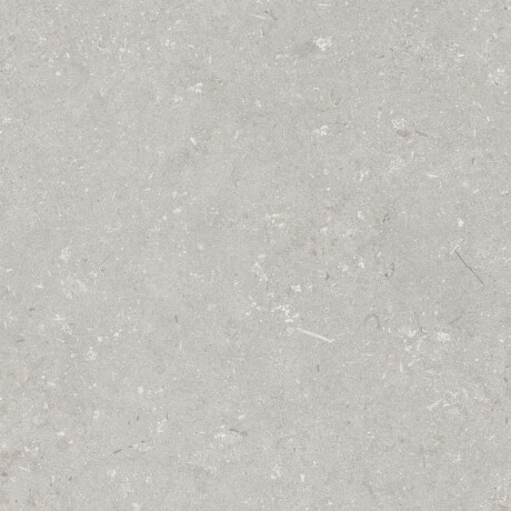 Gres na podłogę 60x120 cm jasny szary mat A4H1093 Shellstone Bianco #4