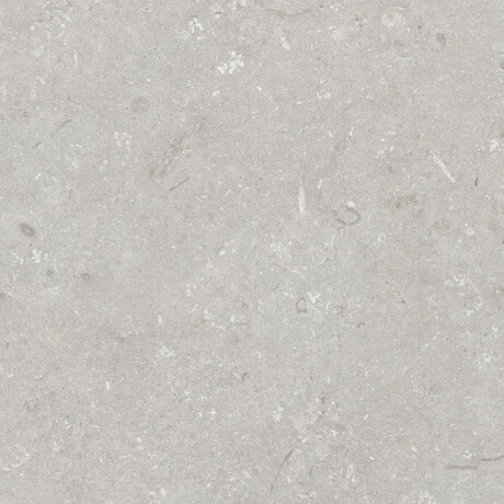 Gres na podłogę 60x120 cm jasny szary mat A4H1093 Shellstone Bianco #5