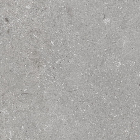 Gres na podłogę 60x120 cm szary mat A4H1096 Shellstone Grigio #4