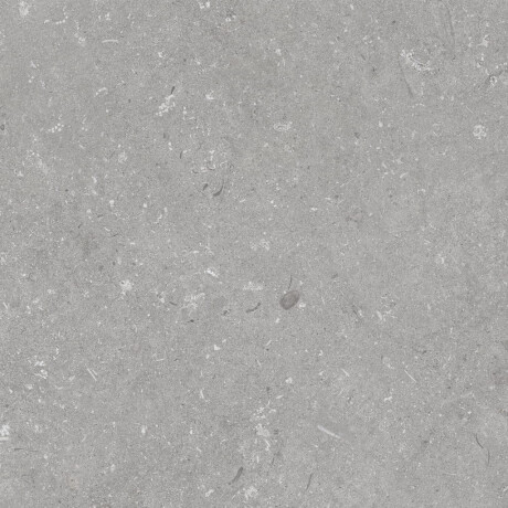 Gres na podłogę 60x120 cm szary mat A4H1096 Shellstone Grigio #5