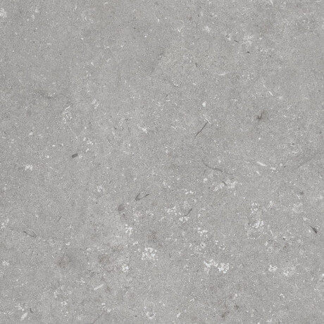 Gres na podłogę 60x120 cm szary mat A4H1096 Shellstone Grigio #6