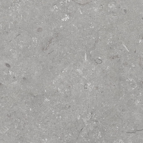 Gres na podłogę 60x120 cm szary mat A4H1096 Shellstone Grigio #8