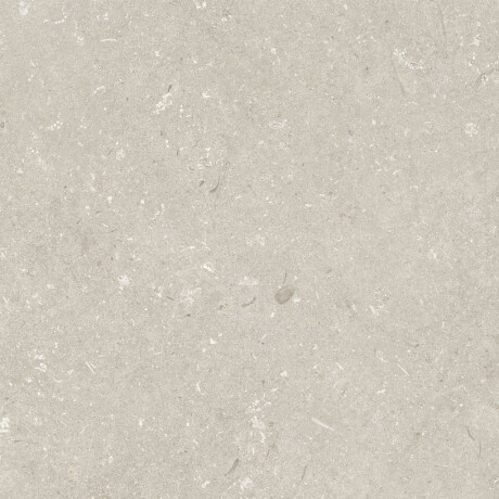 Gres na podłogę 60x120 cm beżowy mat A4H1099 Shellstone Beige #4