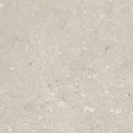Gres na podłogę 60x120 cm beżowy mat A4H1099 Shellstone Beige #5