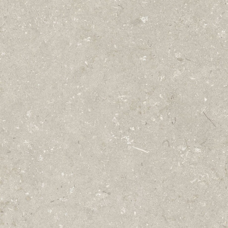 Gres na podłogę 60x120 cm beżowy mat A4H1099 Shellstone Beige #6