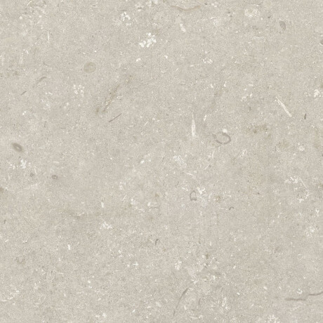 Gres na podłogę 60x120 cm beżowy mat A4H1099 Shellstone Beige #7
