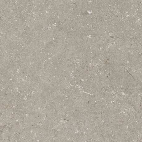 Gres na podłogę 60x120 cm taupe mat A4H1102 Shellstone Taupe #4