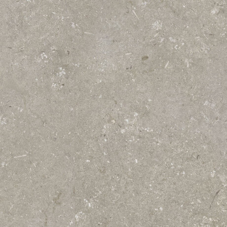 Gres na podłogę 60x120 cm taupe mat A4H1102 Shellstone Taupe #5