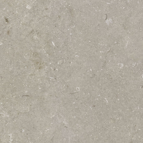Gres na podłogę 60x120 cm taupe mat A4H1102 Shellstone Taupe #6