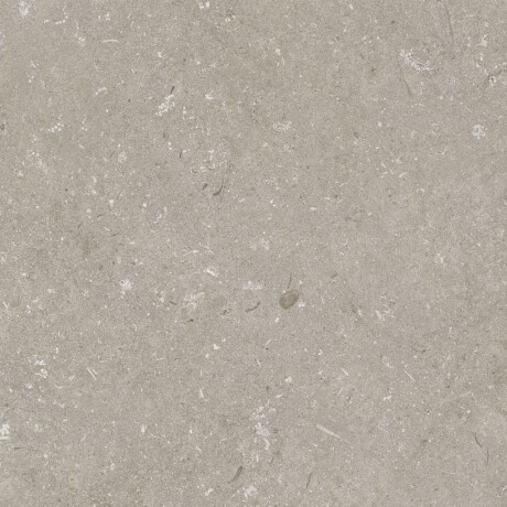 Gres na podłogę 60x120 cm taupe mat A4H1102 Shellstone Taupe #7