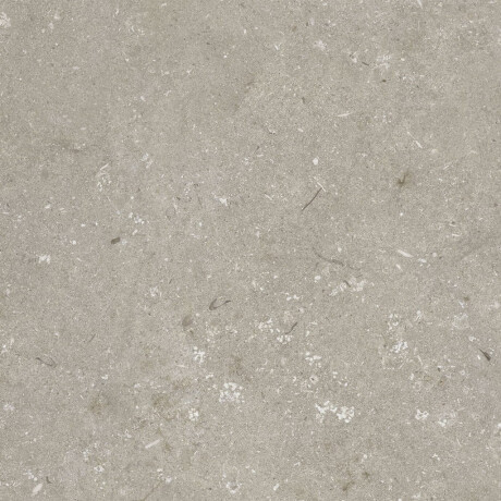 Gres na podłogę 60x120 cm taupe mat A4H1102 Shellstone Taupe #8