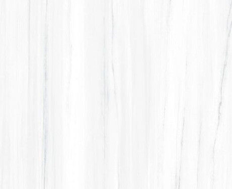 Płytka gresowa wielkoformatowa 120x270 cm z szarą żyłą połysk rektyfikowana A4H185 Dolomite