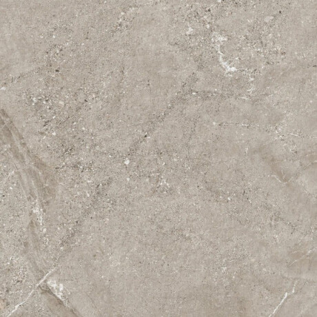 Gres kamienny z żyłą na podłogę 100x100 matowy, szary A4H506 Volterra Grey #2