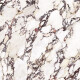 Gres wielkoformatowy 120x280 marmur z fioletowymi żyłami mat A4H844 Calakatta Wiola #6