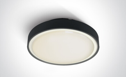 RAFTI E plafon 12W  IP65 antracyt