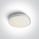 RAFTI E plafon 12W  IP65 szary #1