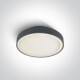 RAFTI E plafon 12W  IP65 biały #1