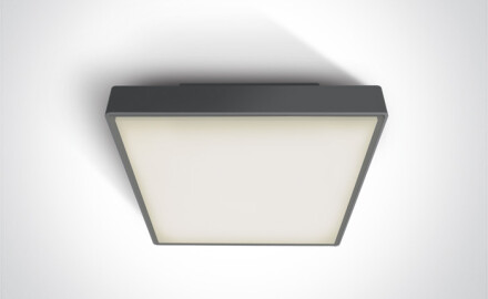 PIRNARI AN plafon 24W 3000K IP65 szary
