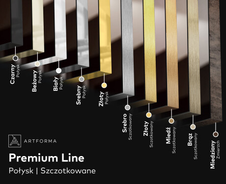 Duże pionowe lustro w ramie na ścianę podświetlane do przedpokoju LED L49 #5