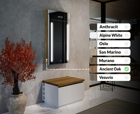 Szafka Do Przedpokoju Wisząca z Lustrem LED Amelia 60 x 110cm #3